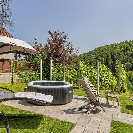 Luxury Vineyard Retreat Matej - Happy